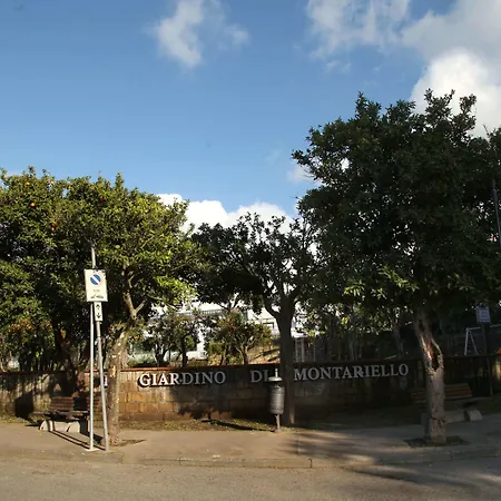 The Reef ソレント